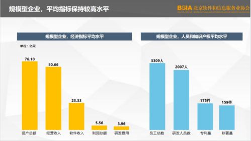 2021北京软件企业核心竞争力评价报告 发布