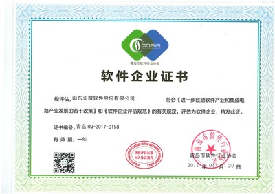 山东亚微软件股份