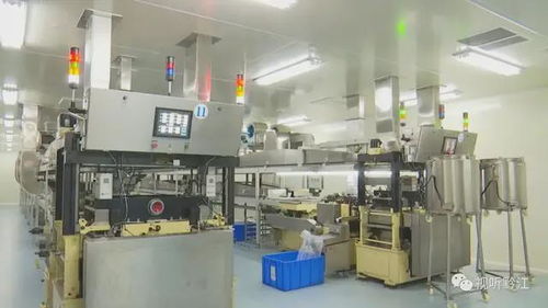 区县解读 黔江 智能引领结构优化 推进企业转型升级
