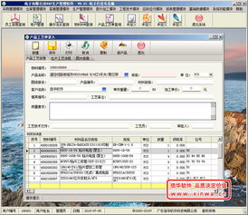 信华erp生产管理软件 专业生产管理软件,企业erp