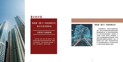 网络科技公司产品项目及企业文化宣传册 红色调