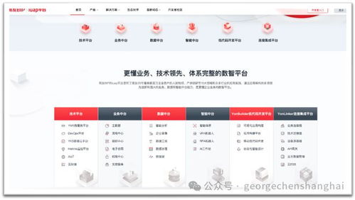 中国企业软件行业的中台毒奶